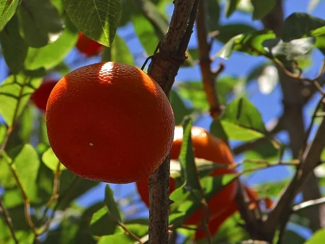 Tangerine Sundowner bath salt